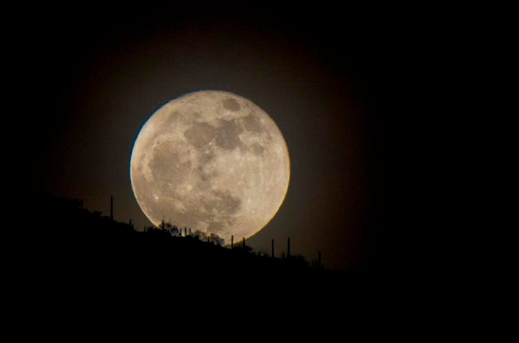 Moonrise at Saguro National Park
