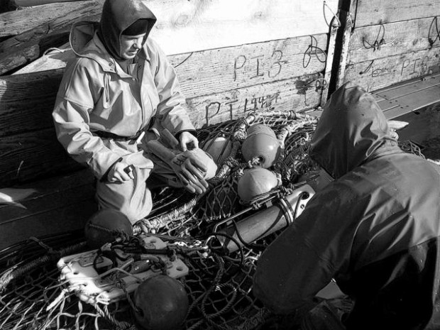 Research aims to help halibut escape cod nets  