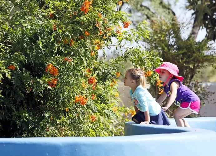 National Public Gardens Day