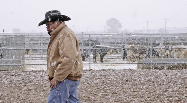 Snowfall around Tucson