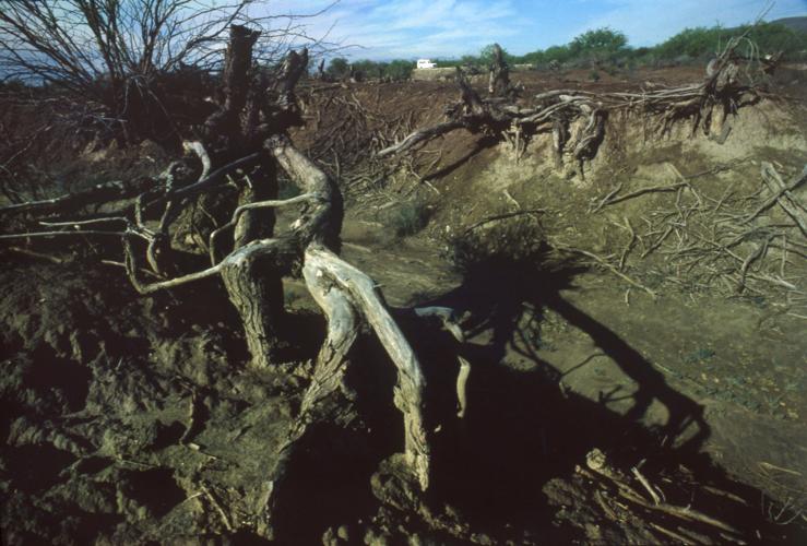 Santa Cruz River, water, 1981