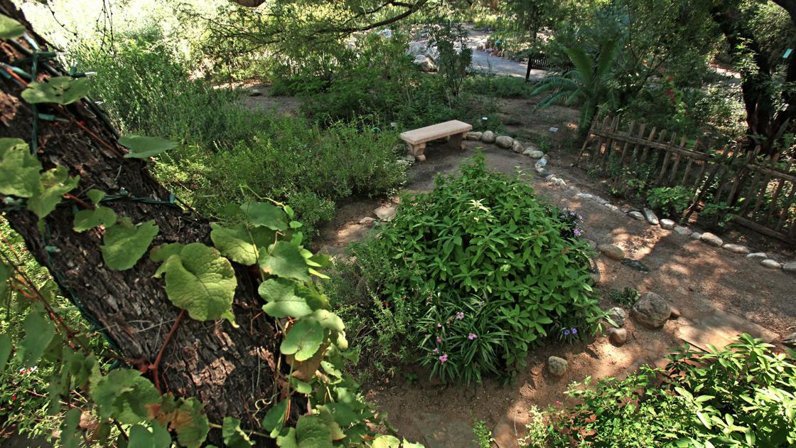 Future-proofing your Tucson garden | Home & Garden Future-proofing your Tucson garden | Home & Garden