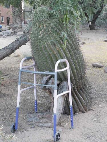 How are you holding up?