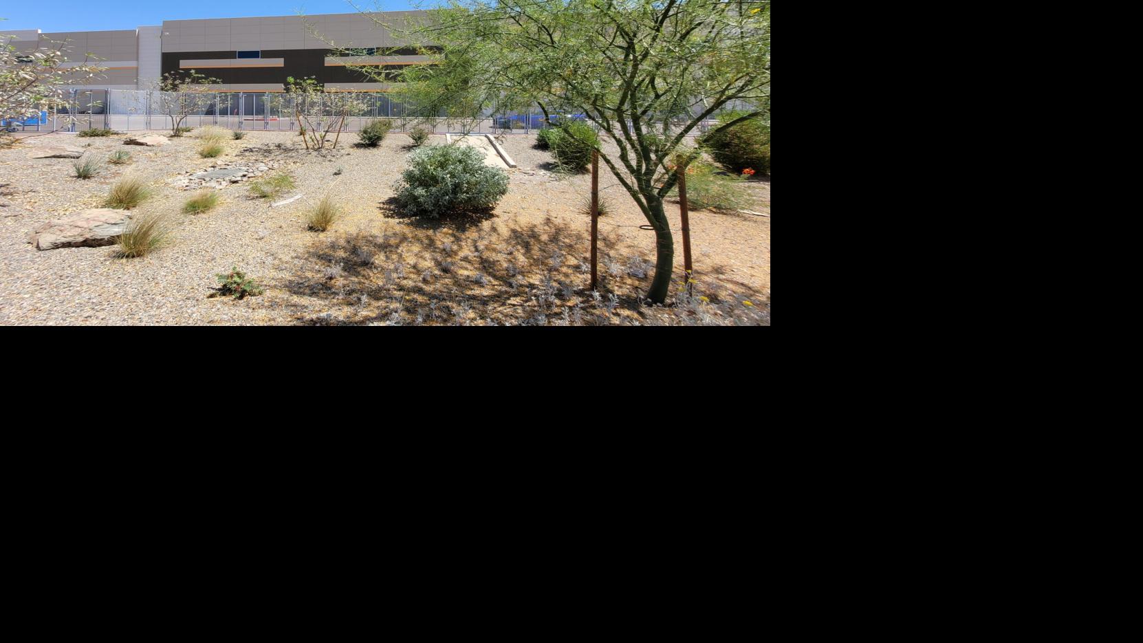 Arizona files suit to block ICE detention warehouse in Surprise