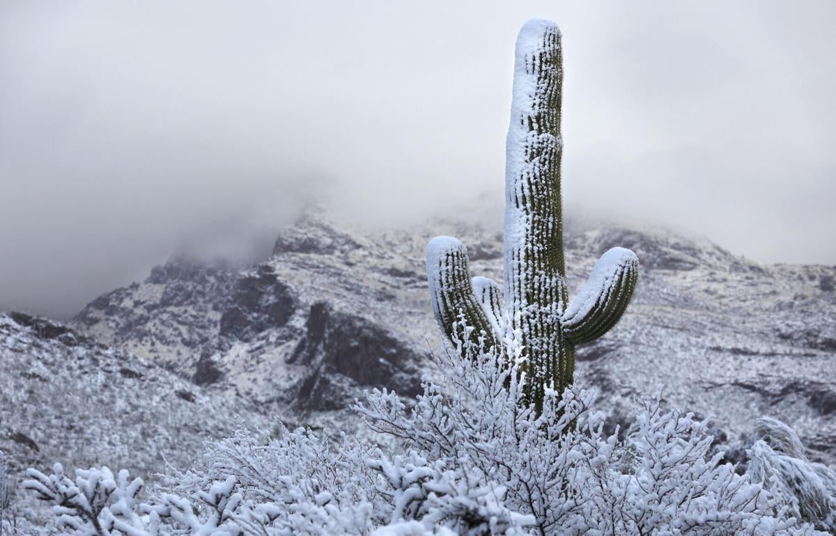 Snow, Tucson, 2023