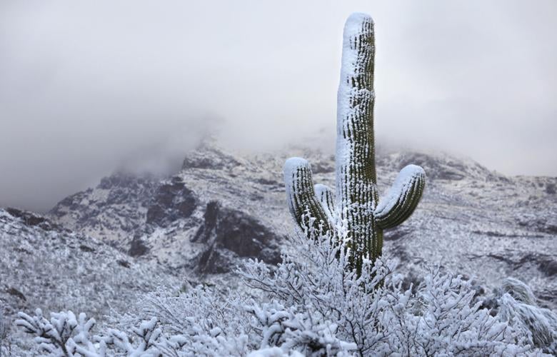 Snow, Tucson, 2023