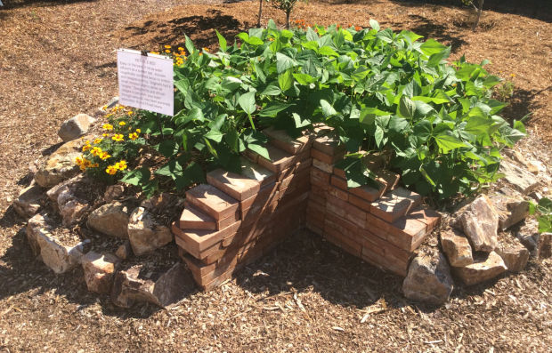 Keyhole garden