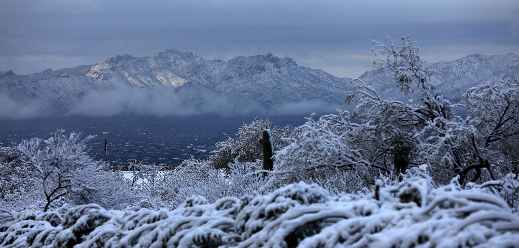 A bunch of photos of today's snow across Tucson ️💕 tucson life