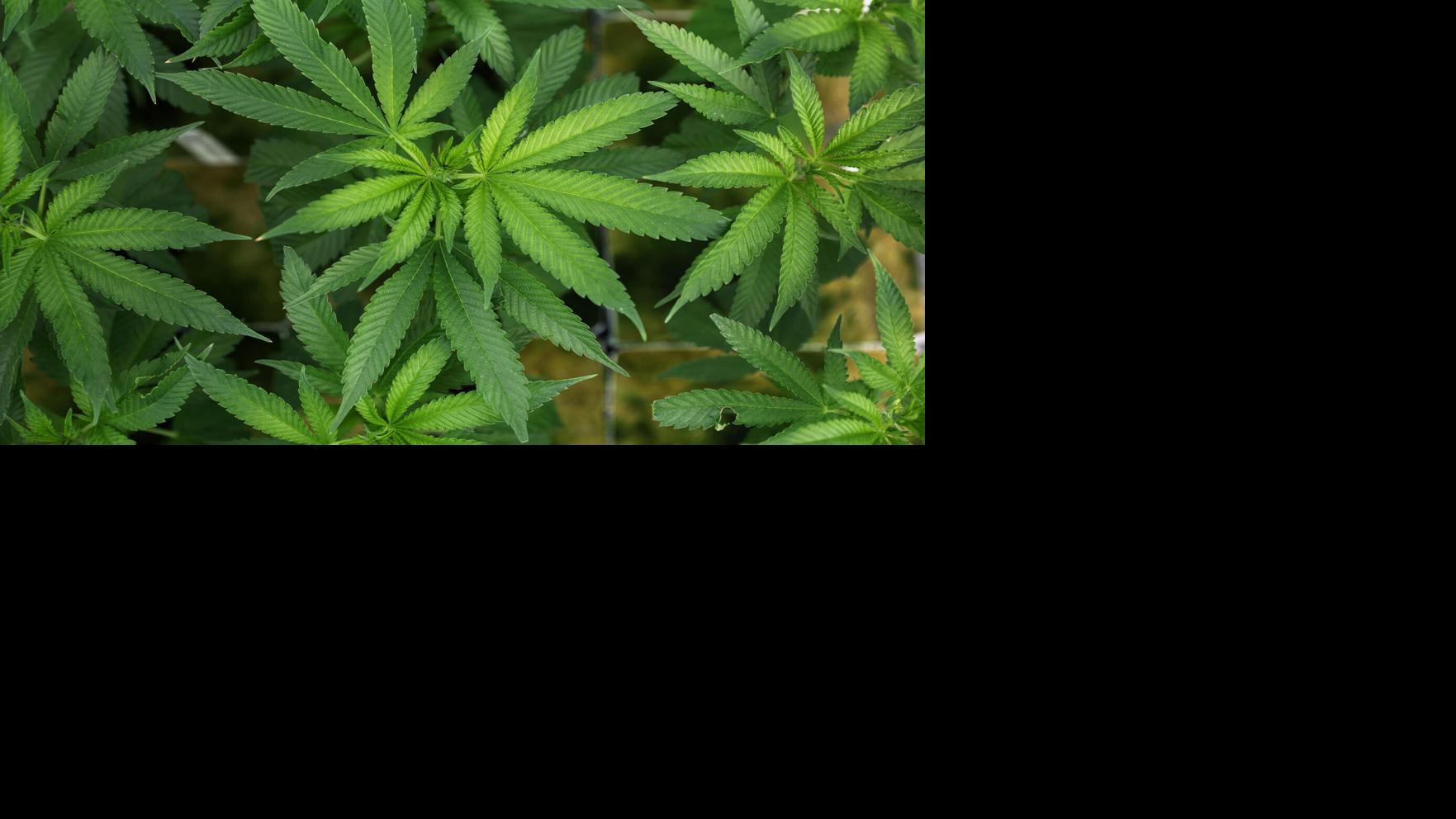 GOP senators should back Trump’s on this one | Idaho Statesman