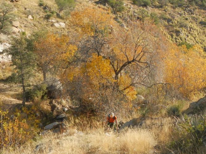 Visit to Summerhaven