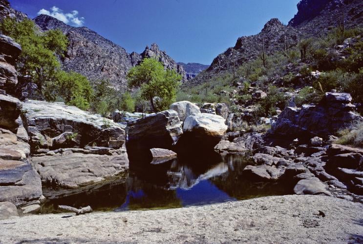 Sabino Creek