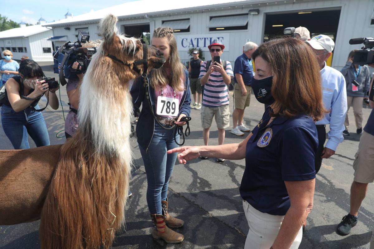 Kathy Hochul checks out a llama. (copy)