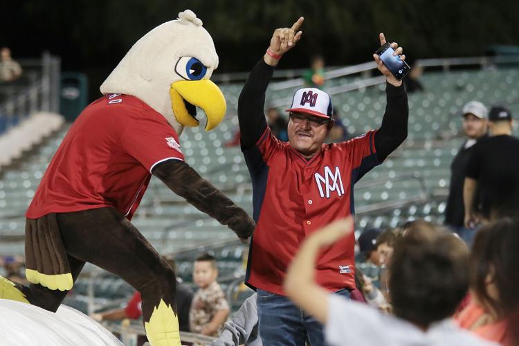 Mexican Baseball Fiesta