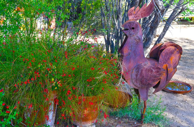 Garden decoration on 2022 home garden tour