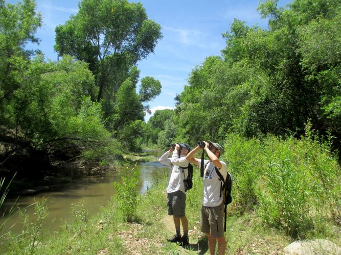 Tucson Audubon Society