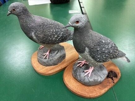 Birdie-and-Walter-Matching-Carved-Pigeons.jpg