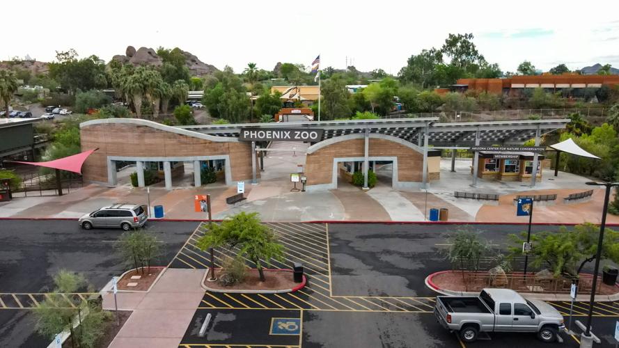 Phoenix Zoo plans endangered-animal conservation park that could bring safaris to Sahuarita