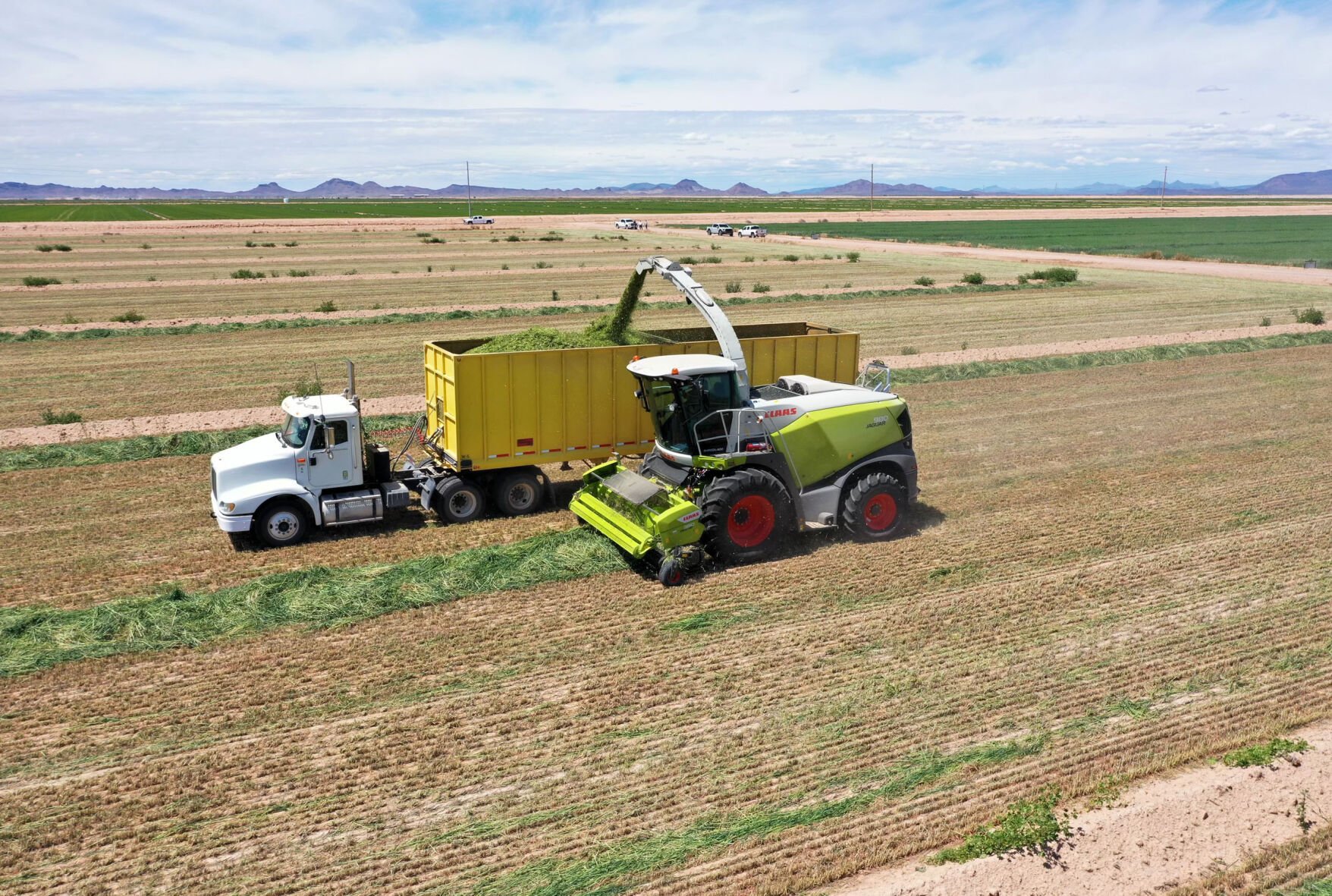 Farming in the Gila Bend Basin