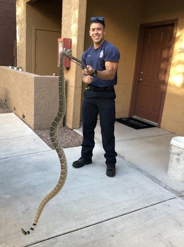 Family finds rattlesnake in toilet, then 23 more underneath their house -  CBS News