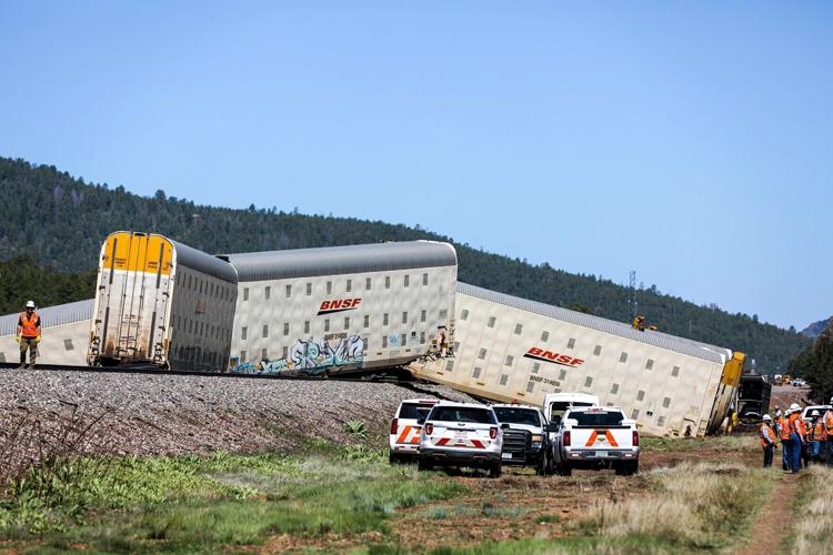 Train De-Rails Near Williams