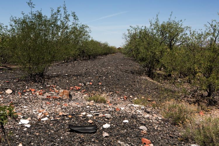 Esmond Station Regional Park