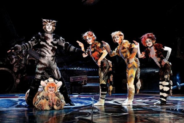 Fun, famed, feline fantasy  