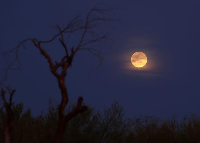 2016 Border Project: Arizona