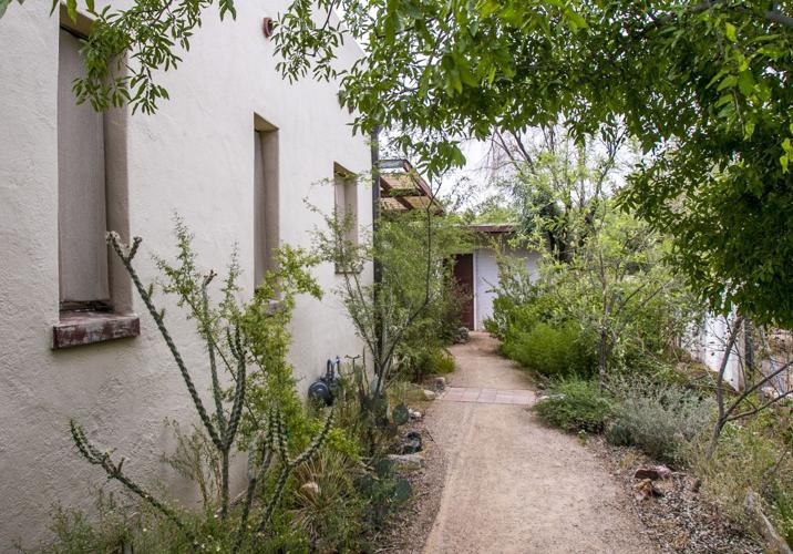 Audubon Society Yard