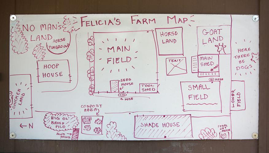 Felicia's Farm