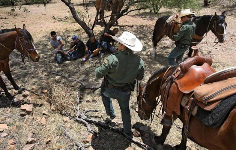 U.S. Border Patrol horse unit