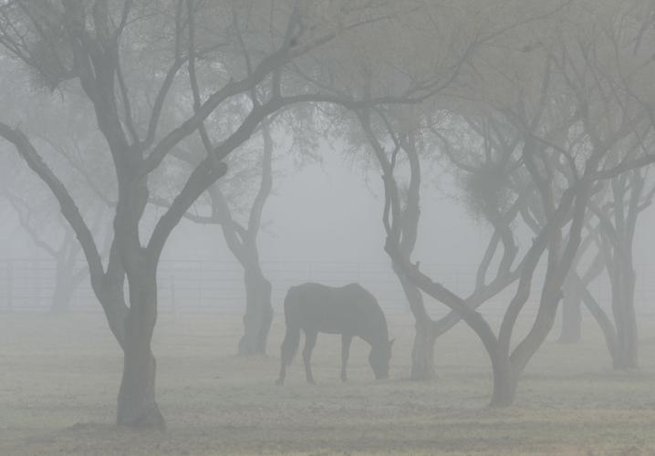Stunning photos of Tucson fog