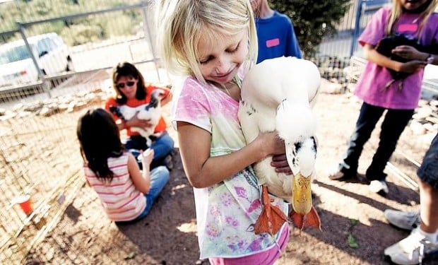 Kids learn about animals, up close  
