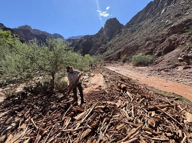 Grand Canyon tourism slumps since huge 2025 fire