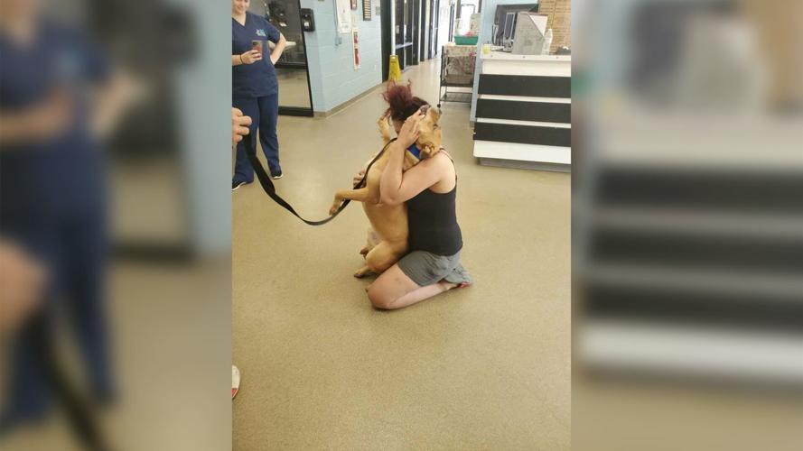 A Pennsylvania woman was looking to adopt a new pet. Then she found the dog she lost two years ago.