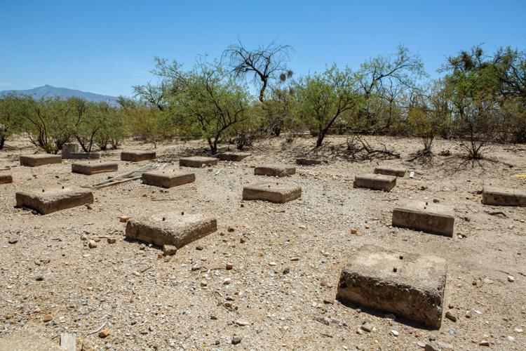 Esmond Station Regional Park