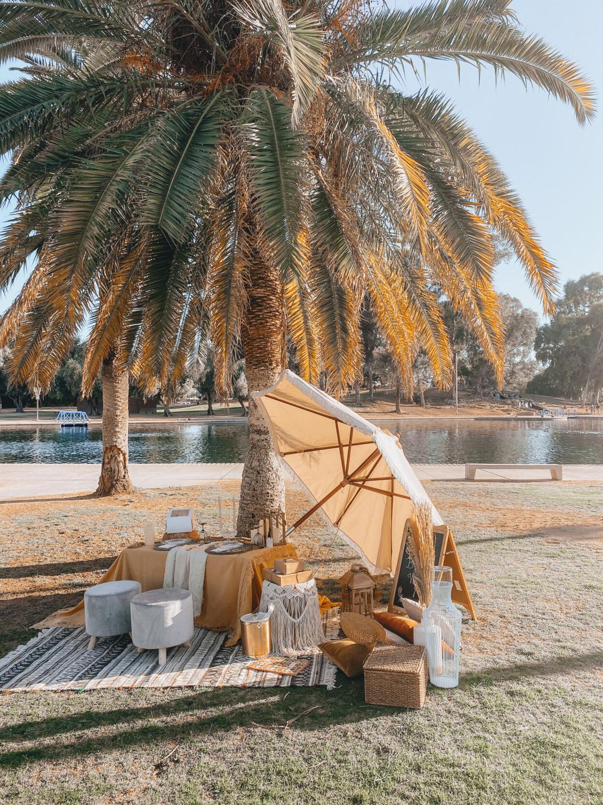 Luxury picnic companies contend with Tucson heat to make magical