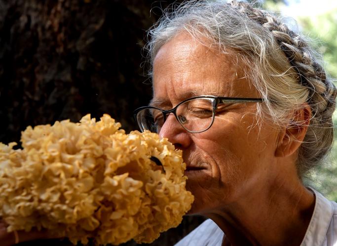 Janet sniffing the cauliflower mushroom for 2022