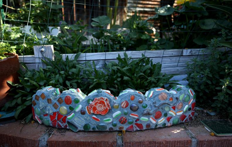 Pima County Master Gardeners