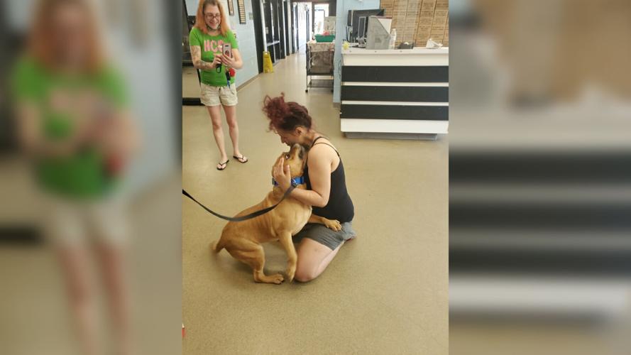 A Pennsylvania woman was looking to adopt a new pet. Then she found the dog she lost two years ago.