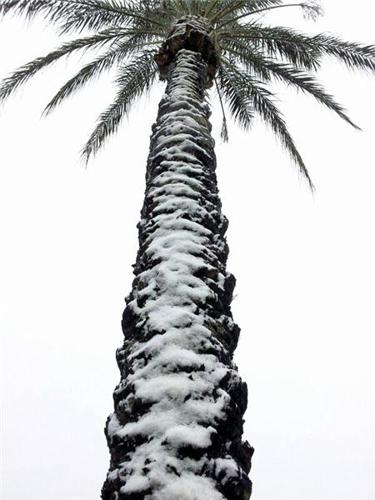 Snowfall around Tucson
