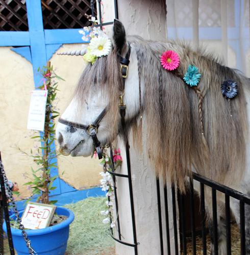Renaissance Festival