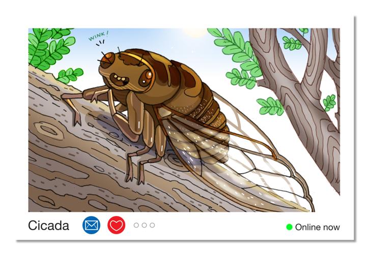 Cicada.jpg