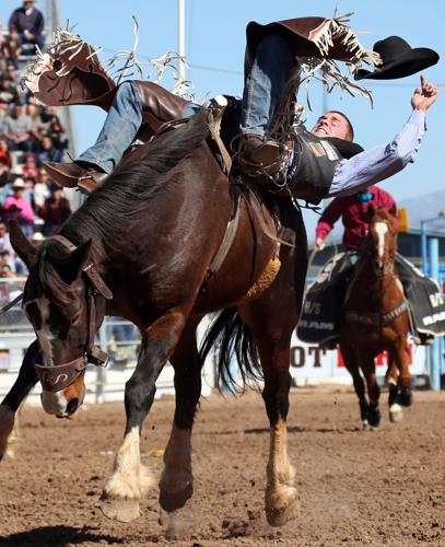 Tucson Rodeo