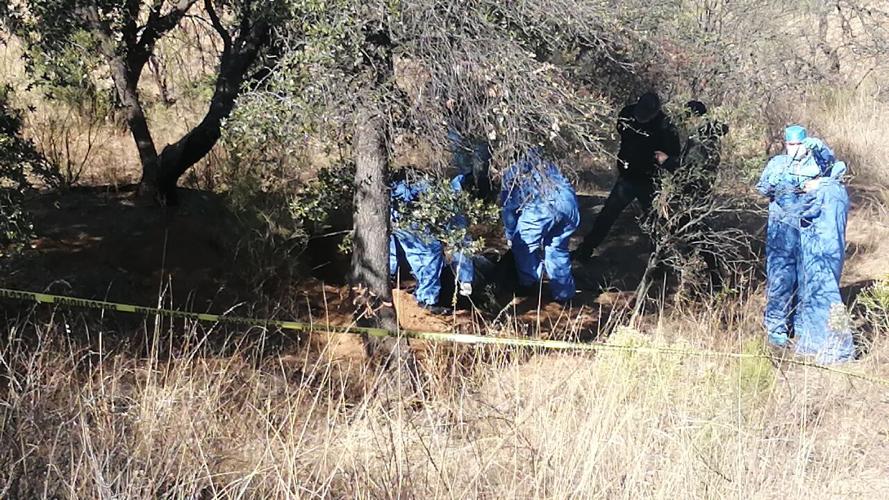 Bongo perro labrador donado a las Buscadoras