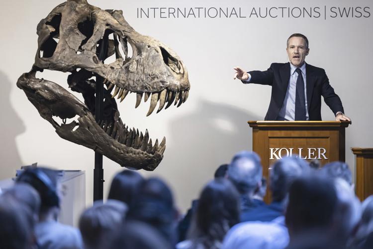 Switzerland Dinosaur Auction