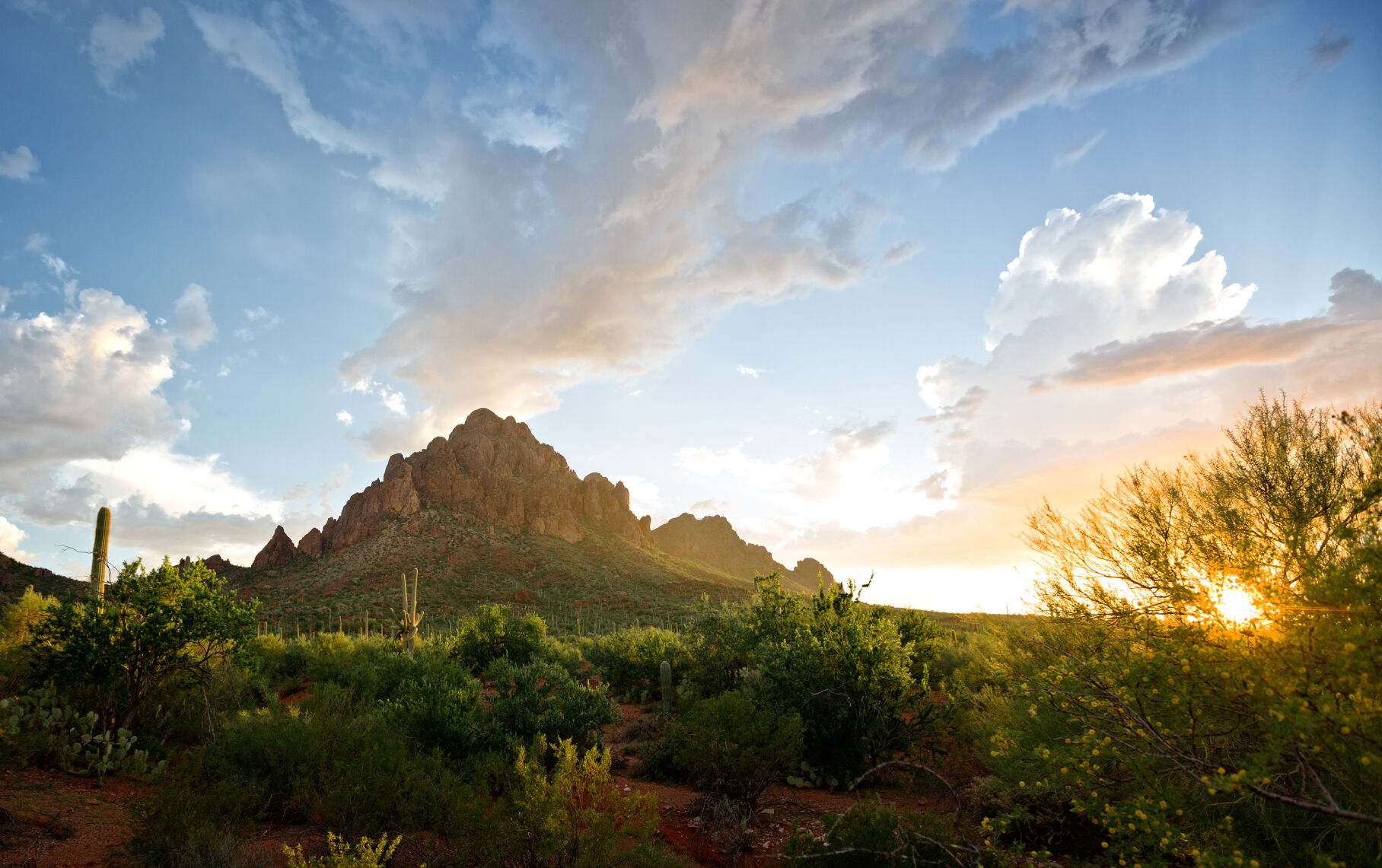 Ironwood at 25: Monumental milestone arrives with little change to desert preserve