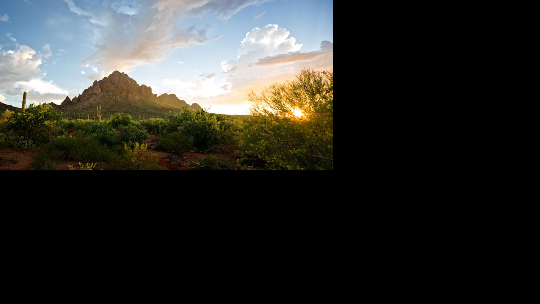 Ironwood Forest reaches monumental milestone