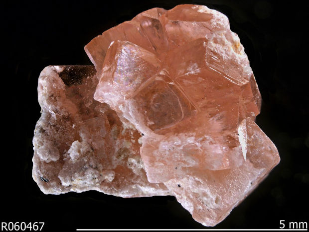 Arizona is new frontier in search for vital 'rare earth' elements    