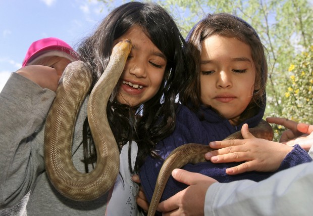 Borton Primary celebrates Earth Day with fun activities   