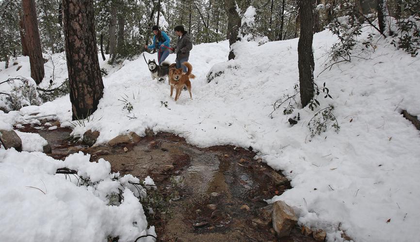 Tucson news photos of 2016